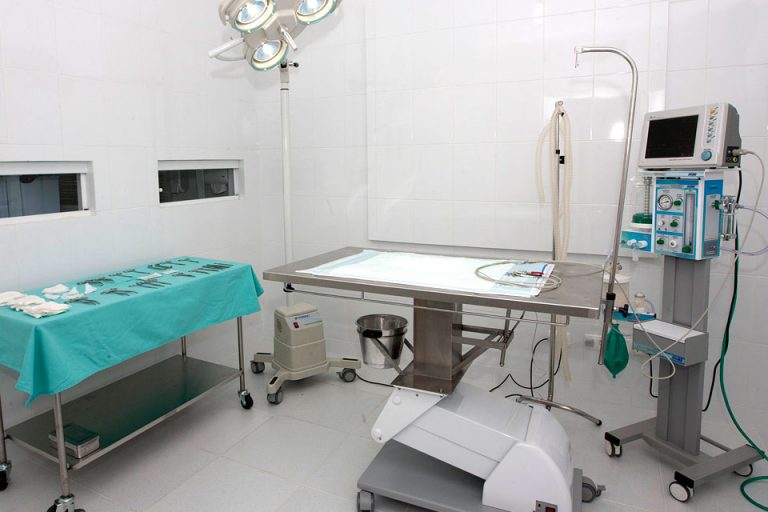 Sala de cirurgia da clínica veterinária Vetsalva